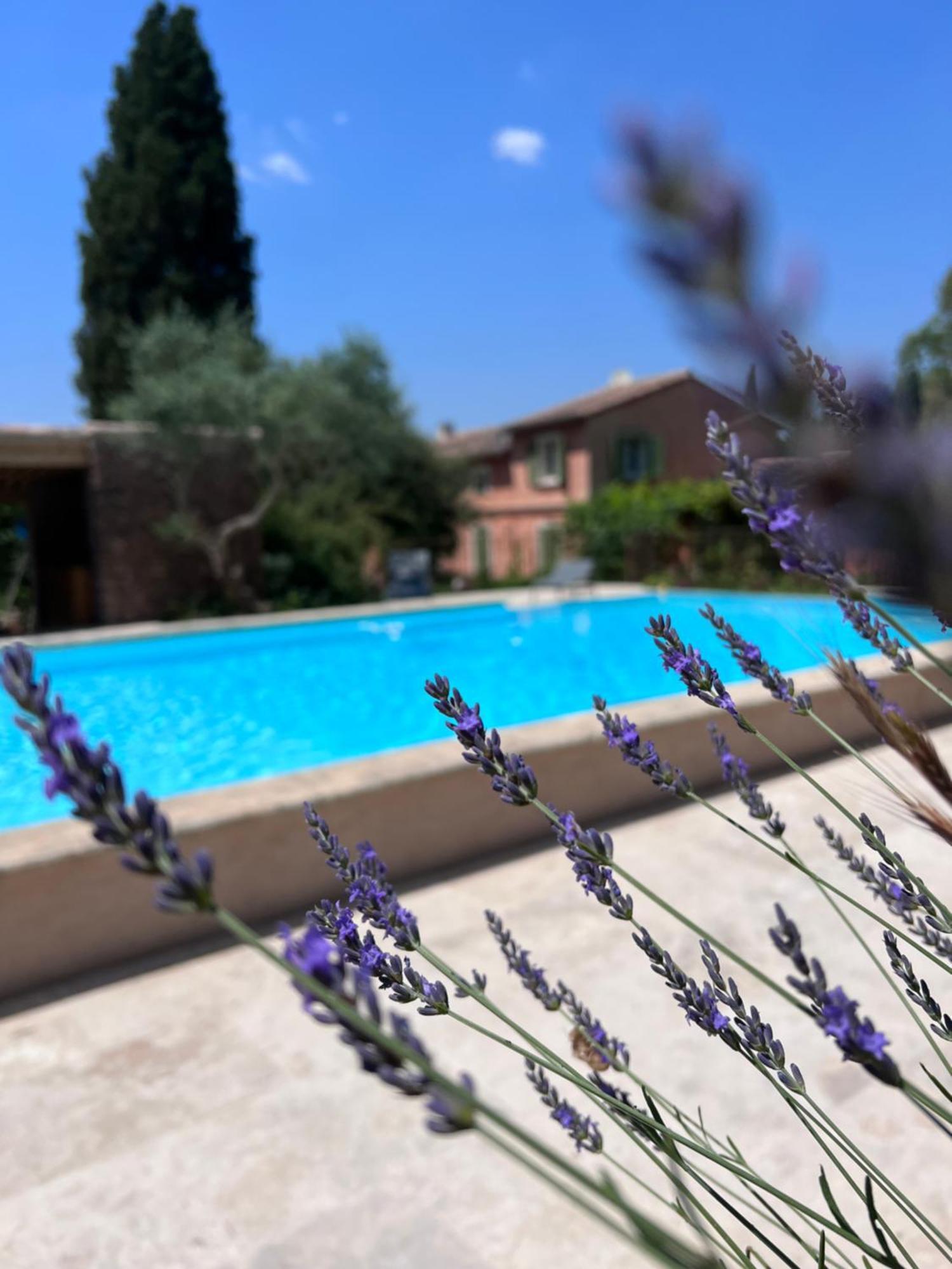 Les Hauts De Diane, Cuers Var Εξωτερικό φωτογραφία
